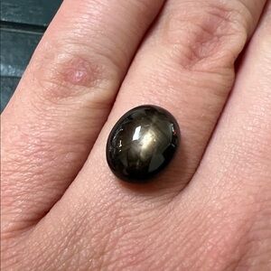 Sophisticated Black Star Sapphire Loose Gemstone